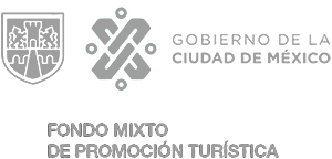 Logo Fondo Mixto